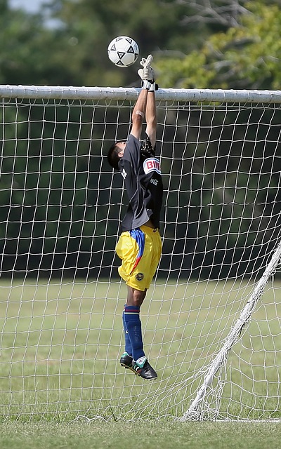 而尼克斯则 而尼克斯则