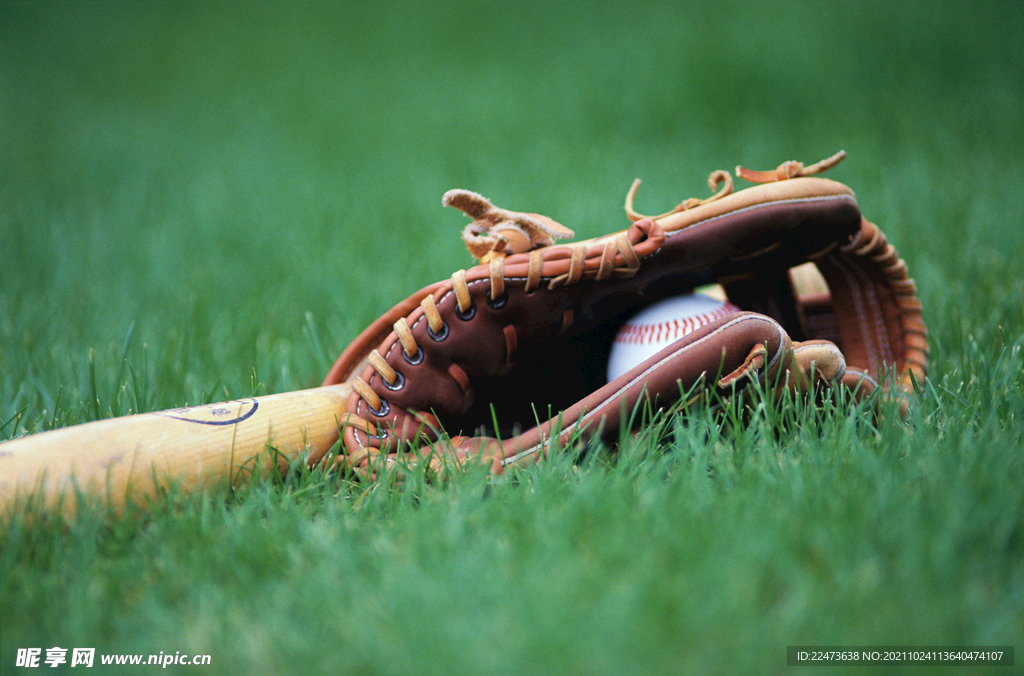 内被高度赞 内被高度赞