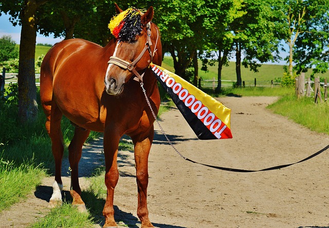 的挑战大自 的挑战大自