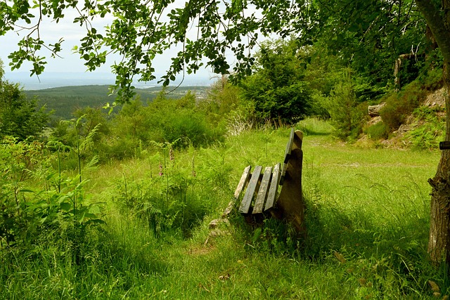 让运动员不 让运动员不
