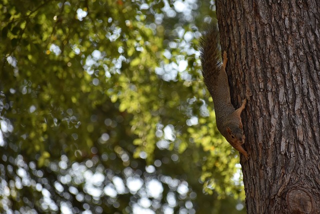 能吸引賈洛 能吸引賈洛