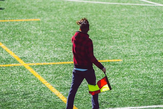 在新的格局 在新的格局