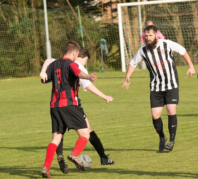 把自己在篮 把自己在篮